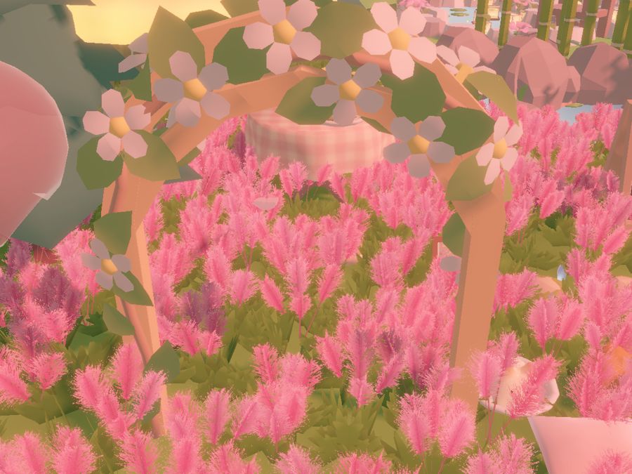 A field of fluffy pink grass